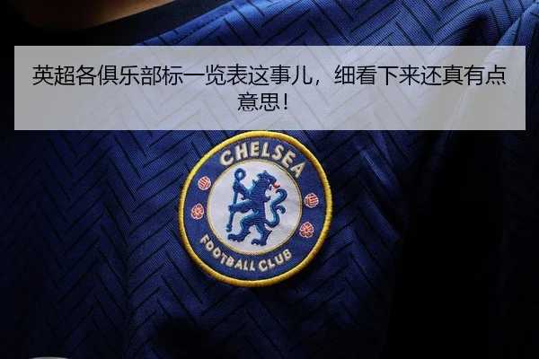英超各俱乐部标一览表这事儿，细看下来还真有点意思！