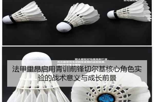 法甲里昂启用青训前锋切尔基核心角色实验的战术意义与成长前景