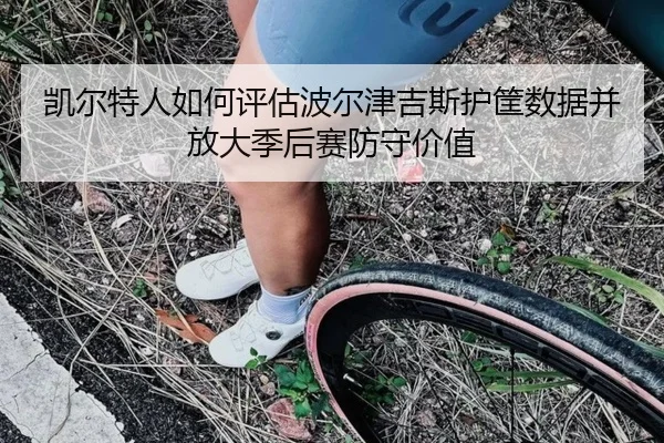 凯尔特人如何评估波尔津吉斯护筐数据并放大季后赛防守价值