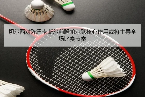 切尔西对阵纽卡斯尔前瞻帕尔默核心作用或将主导全场比赛节奏